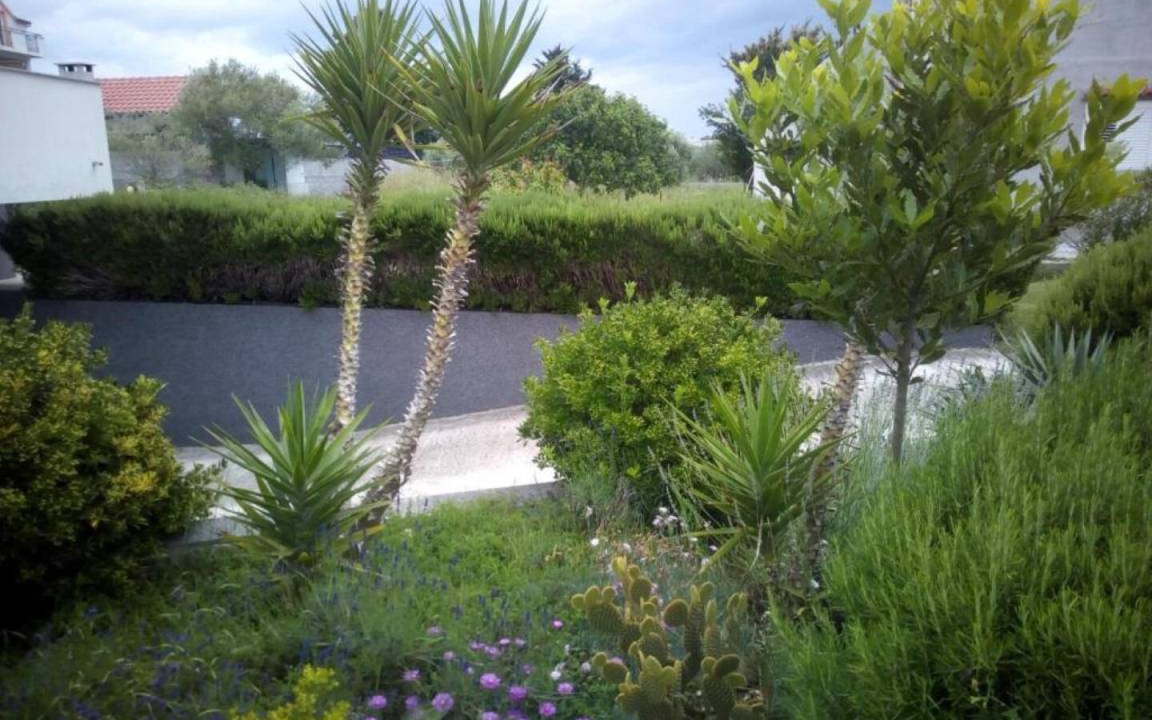 Photo of Others in Bibinje