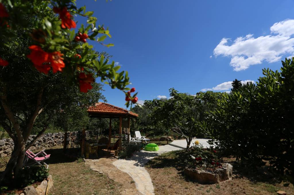 Photo of Others in Sutomiscica
