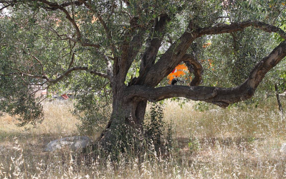 Photo of Others in Bozava