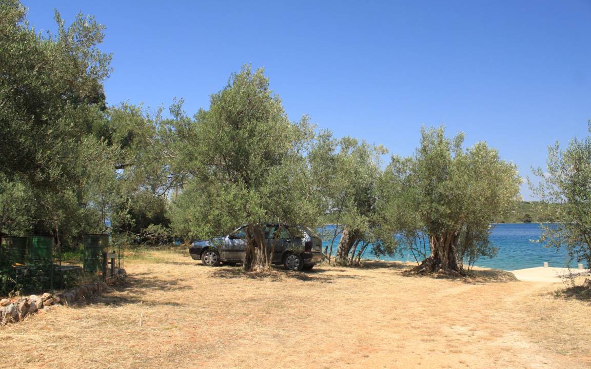 Photo of Others in Luka