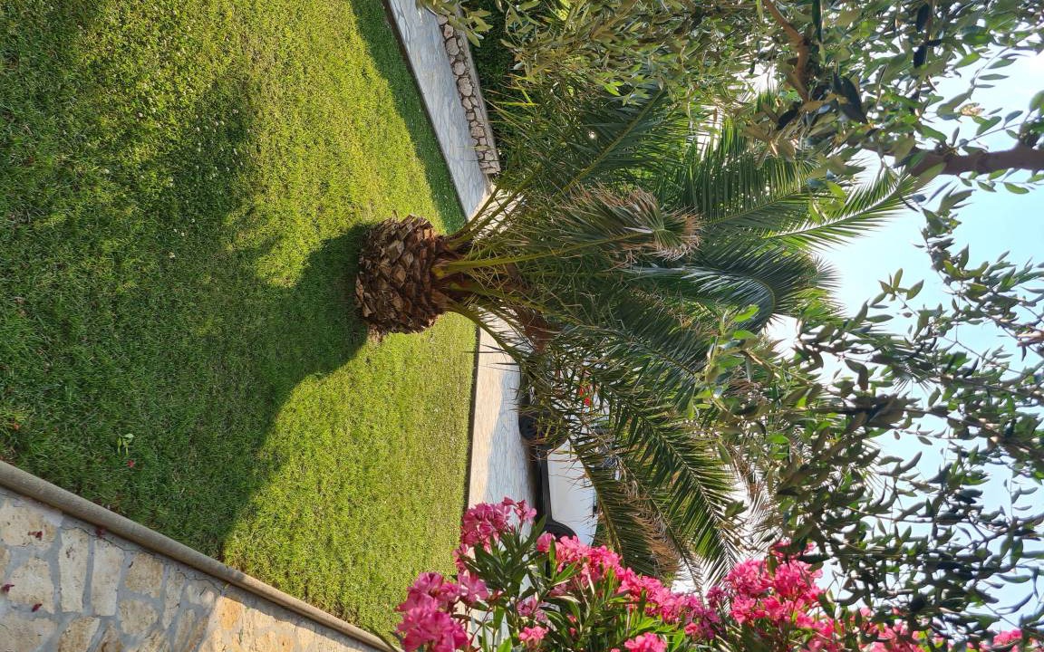 Photo of Outdoor in Pag