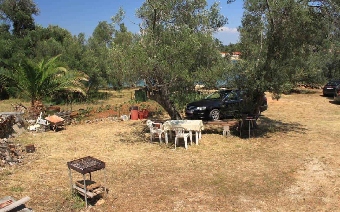 Photo of Others in Luka
