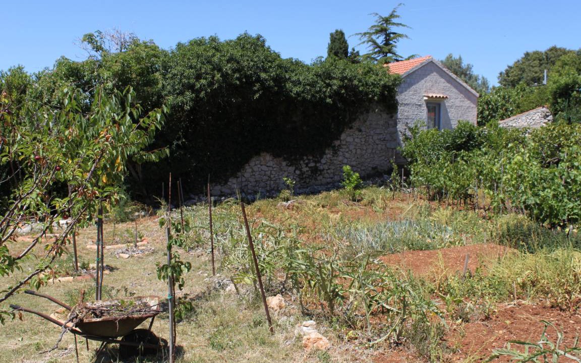 Photo of Others in Veli Losinj