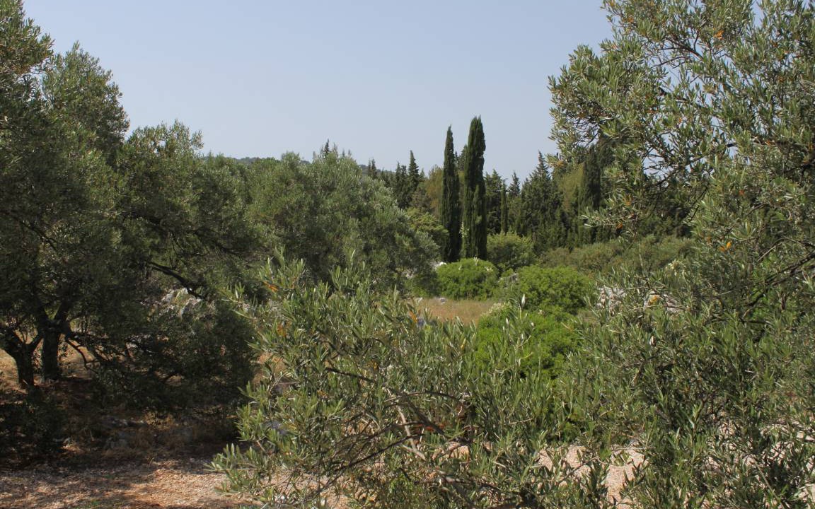 Photo of Others in Bozava