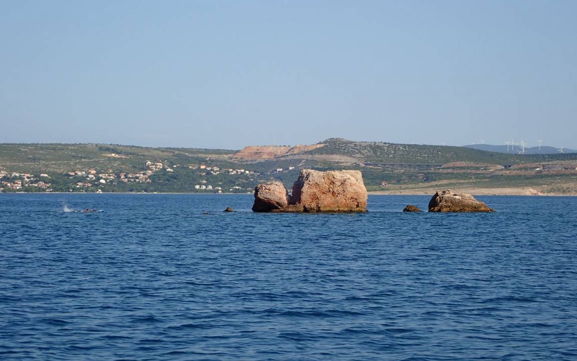 Photo of Others in Seline