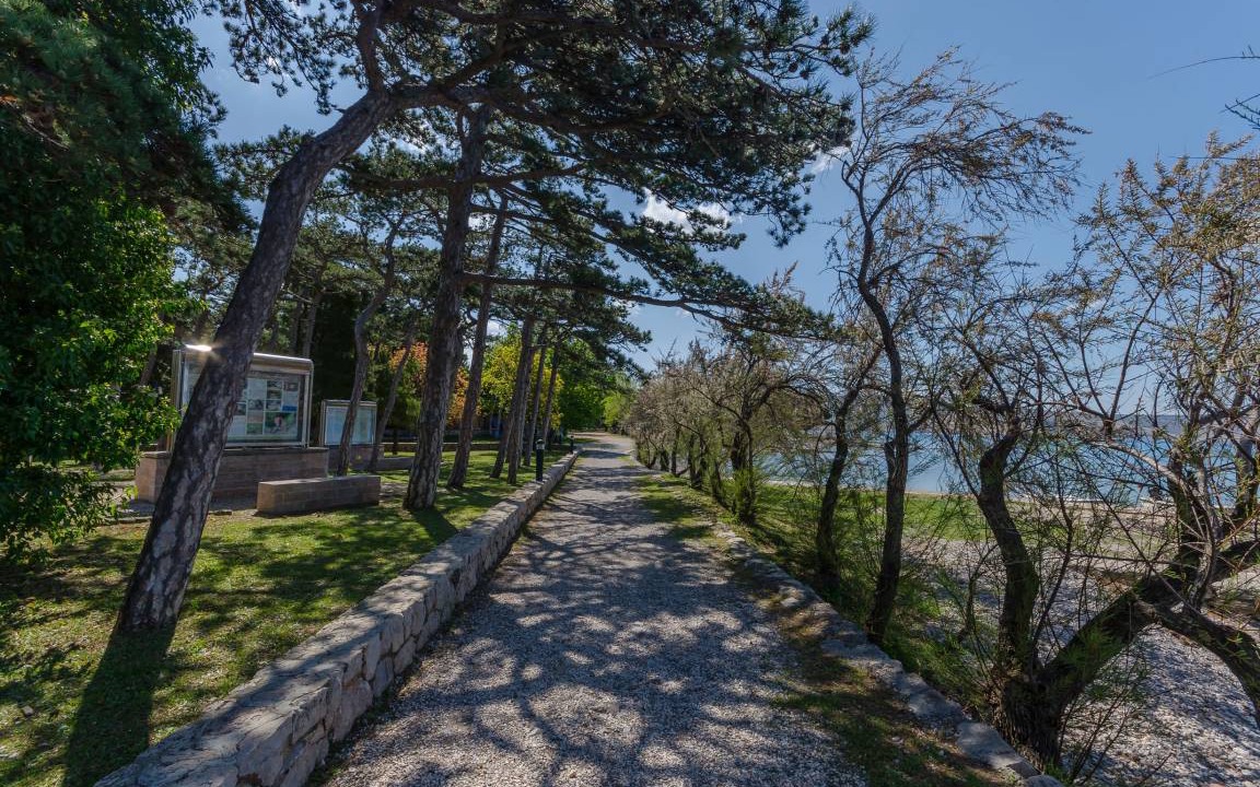 Photo of Others in Starigrad