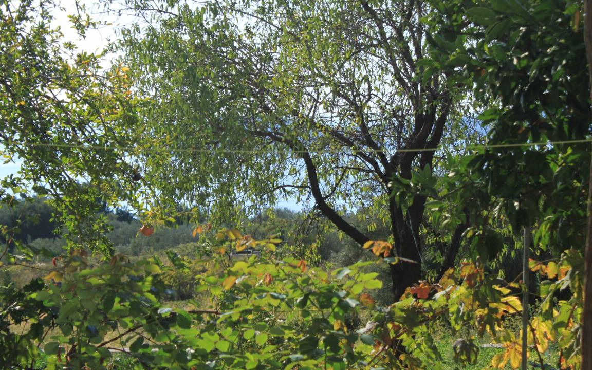 Photo of Others in Brsecine