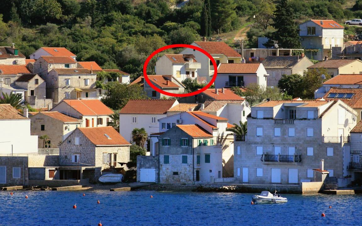 Photo of Others in Vis