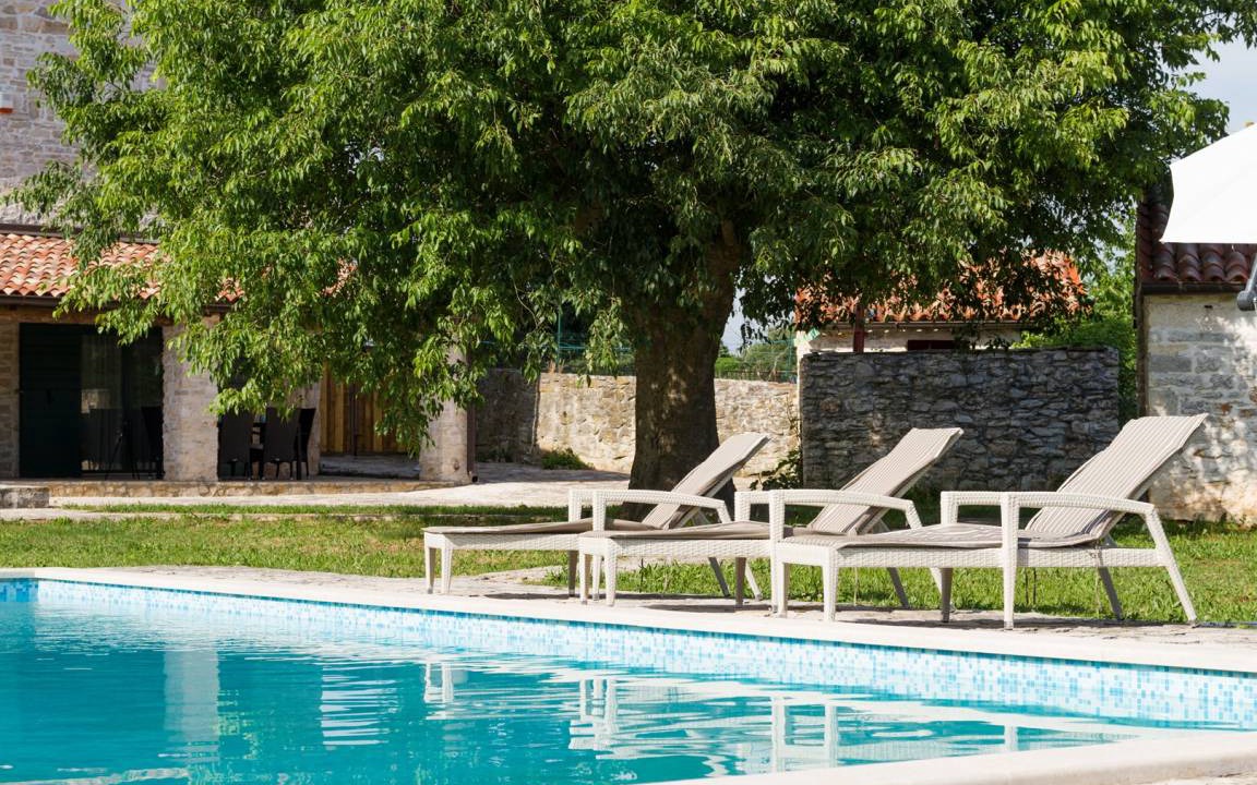 Photo of Others in Bicici