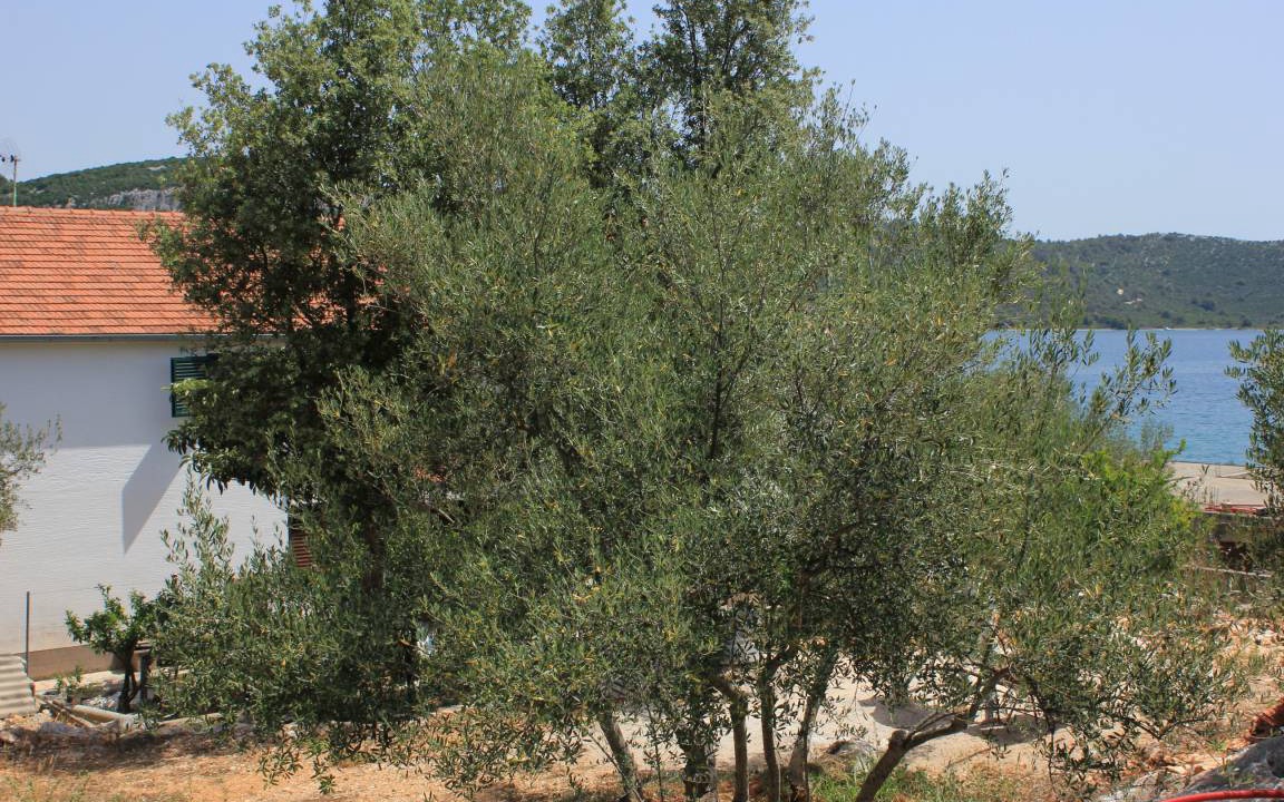 Photo of Others in Municipality of Kali
