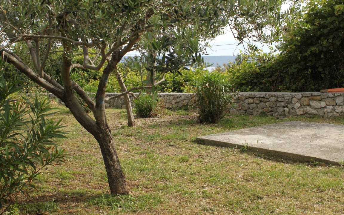 Photo of Others in Mali Losinj
