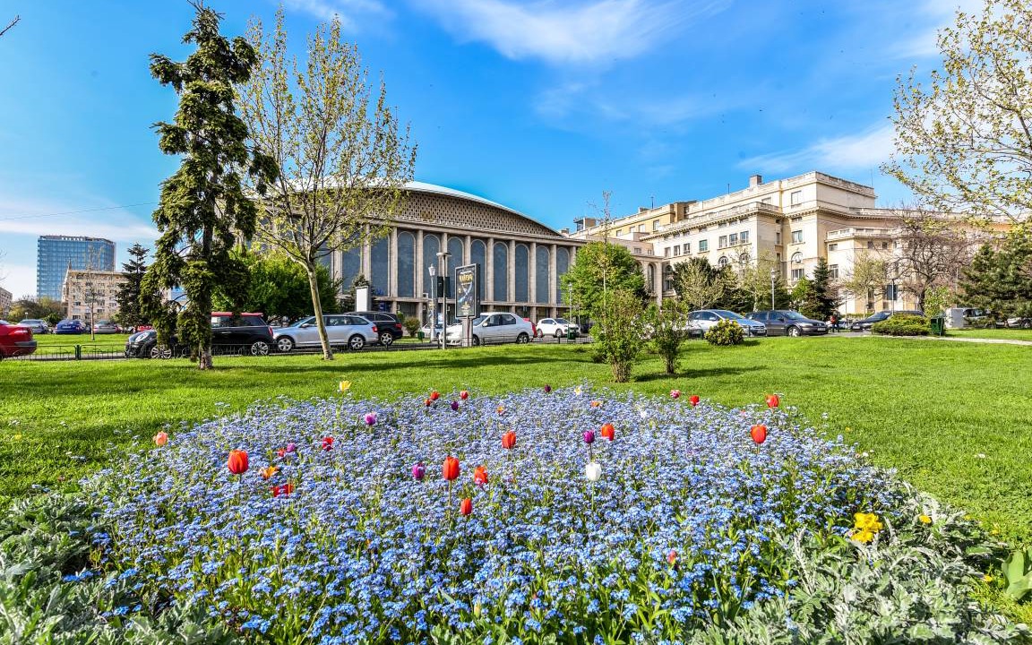 Photo of Others in Bucharest City-Centre