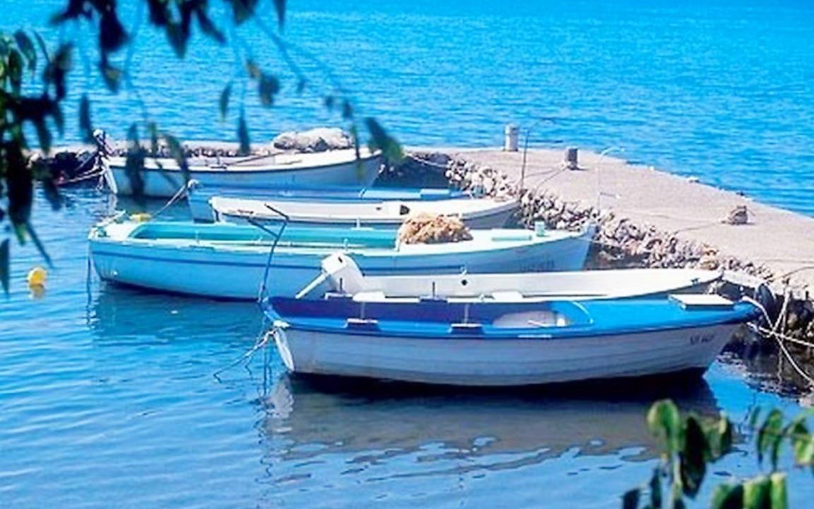 Photo of Others in Seline
