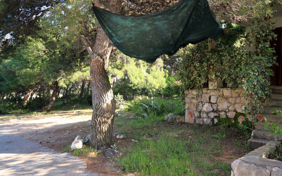 Photo of Others in Cove Basina (Jelsa)