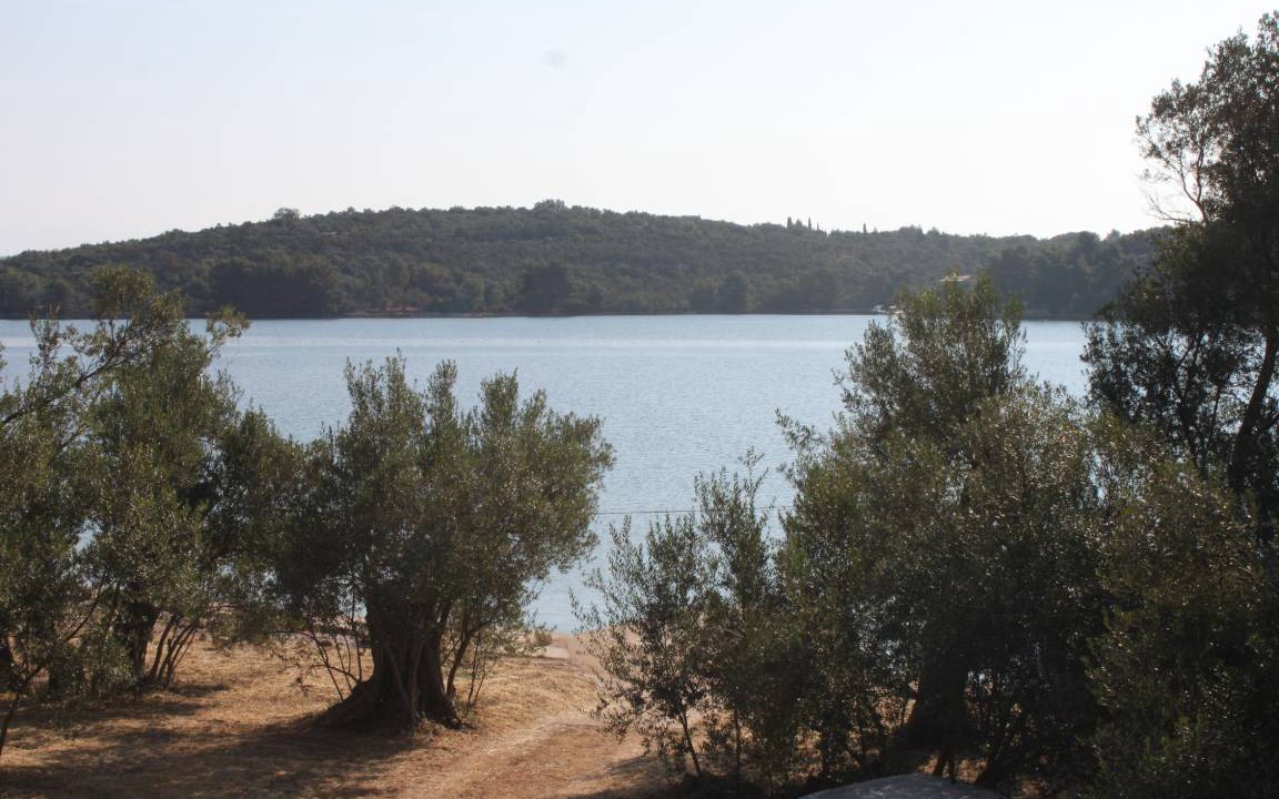 Photo of Others in Luka