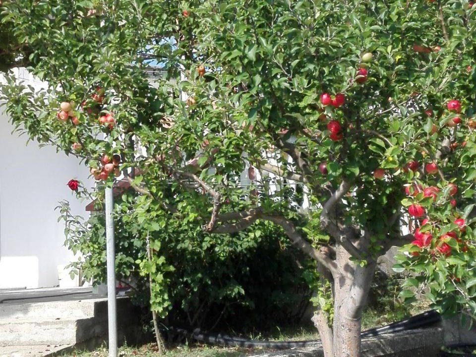 Photo of Outdoor in Rtina