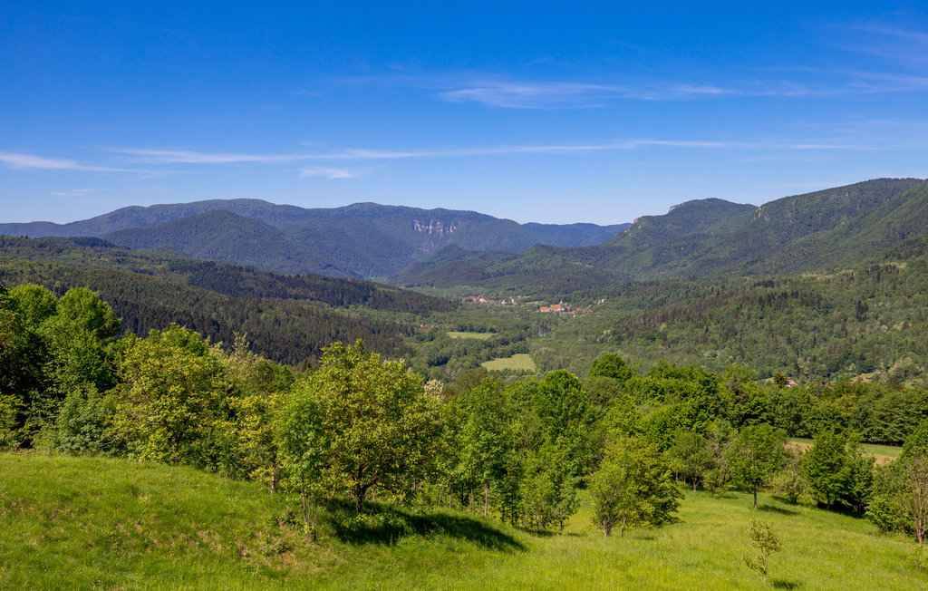 Photo of Others in Brod Moravice