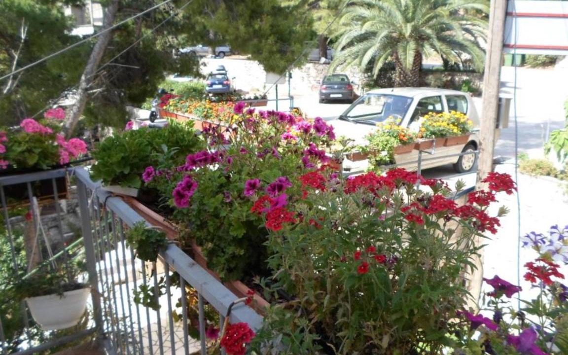 Photo of Others in Sobra