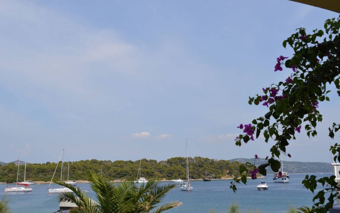 Photo of Others in Mali Iz