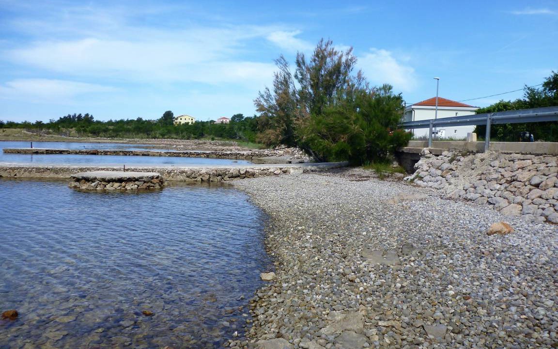 Photo of Others in Seline