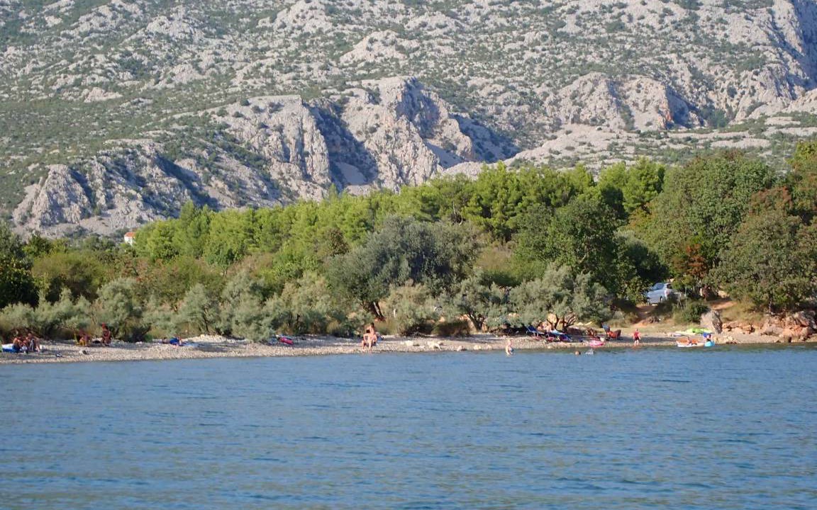 Photo of Others in Seline