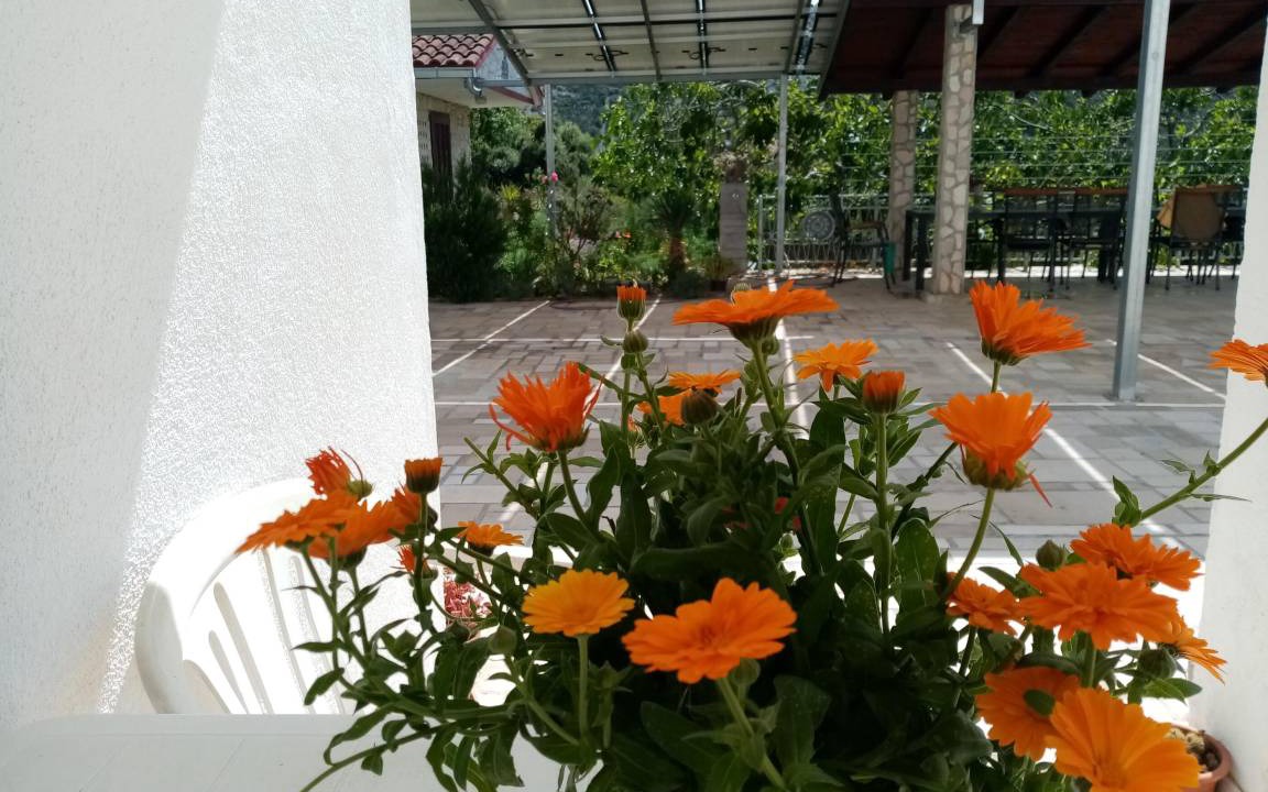 Photo of Patio Balcony in Vinisce