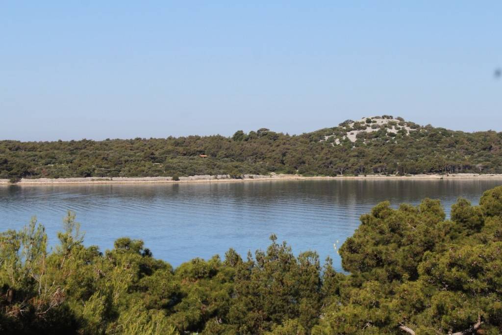 Photo of Others in Cove Murtar