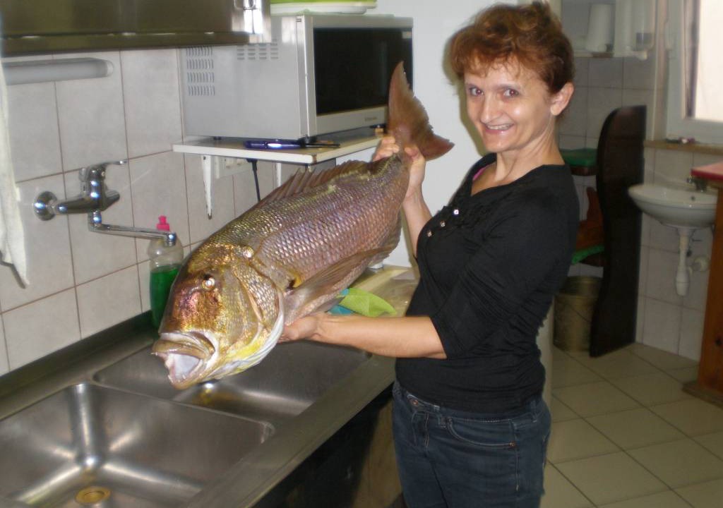 Photo of Others in Gornje selo