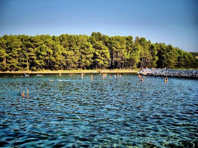 Photo of Others in Molat