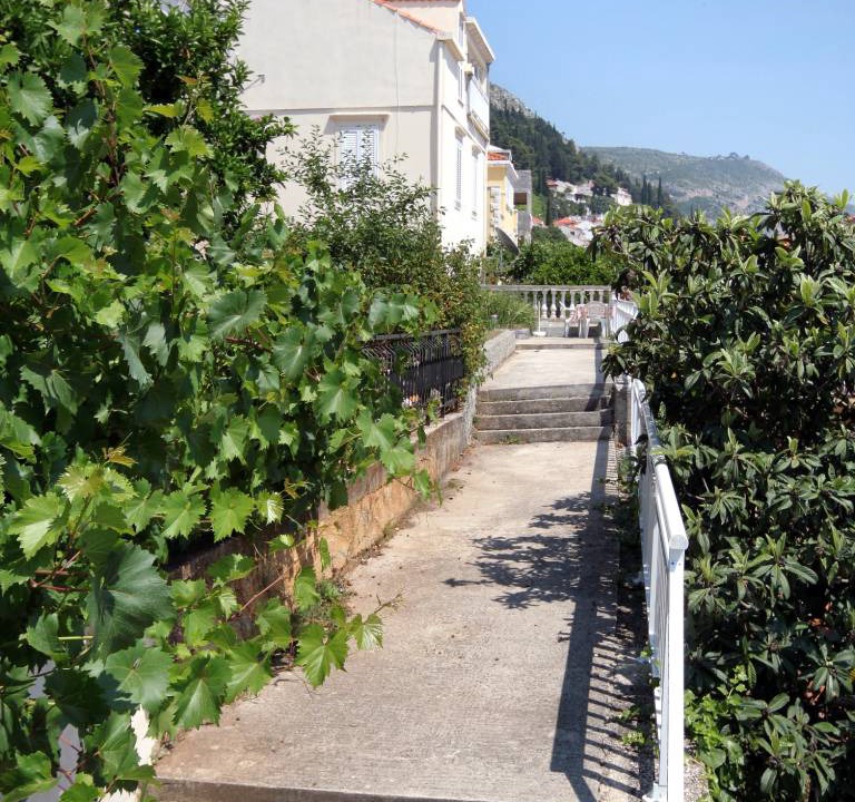 Photo of Others in Ploce