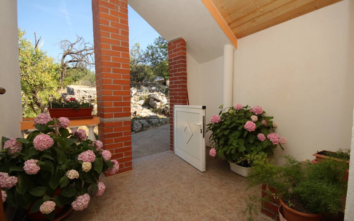 Photo of Others in Island Dugi Otok