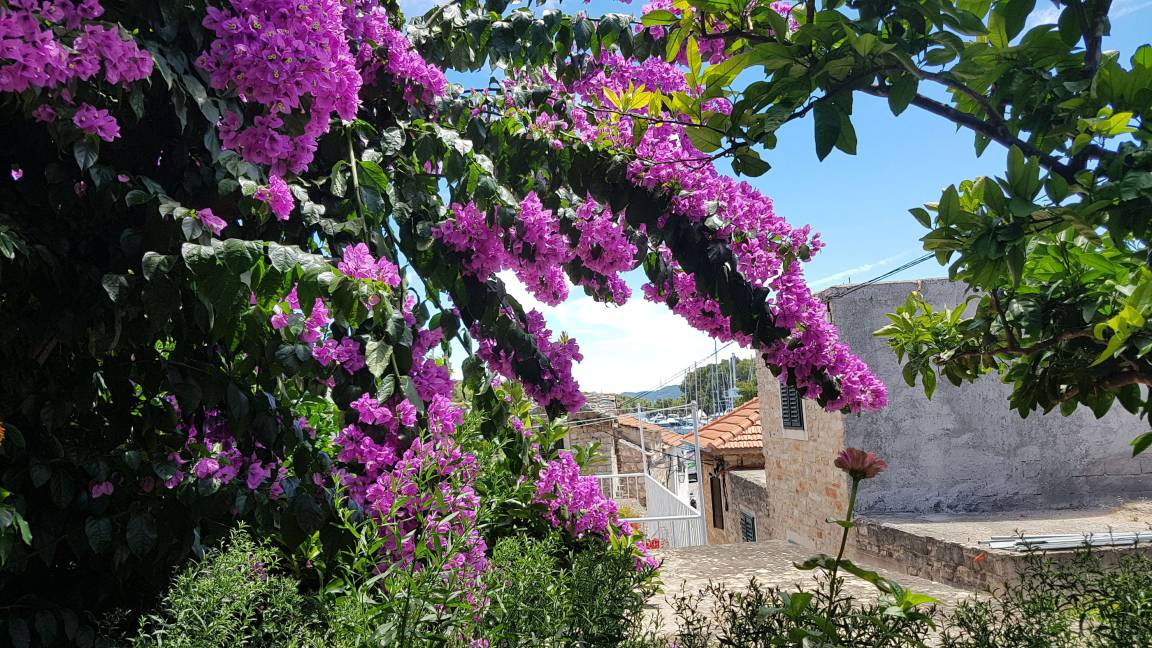 Photo of Others in Vrboska