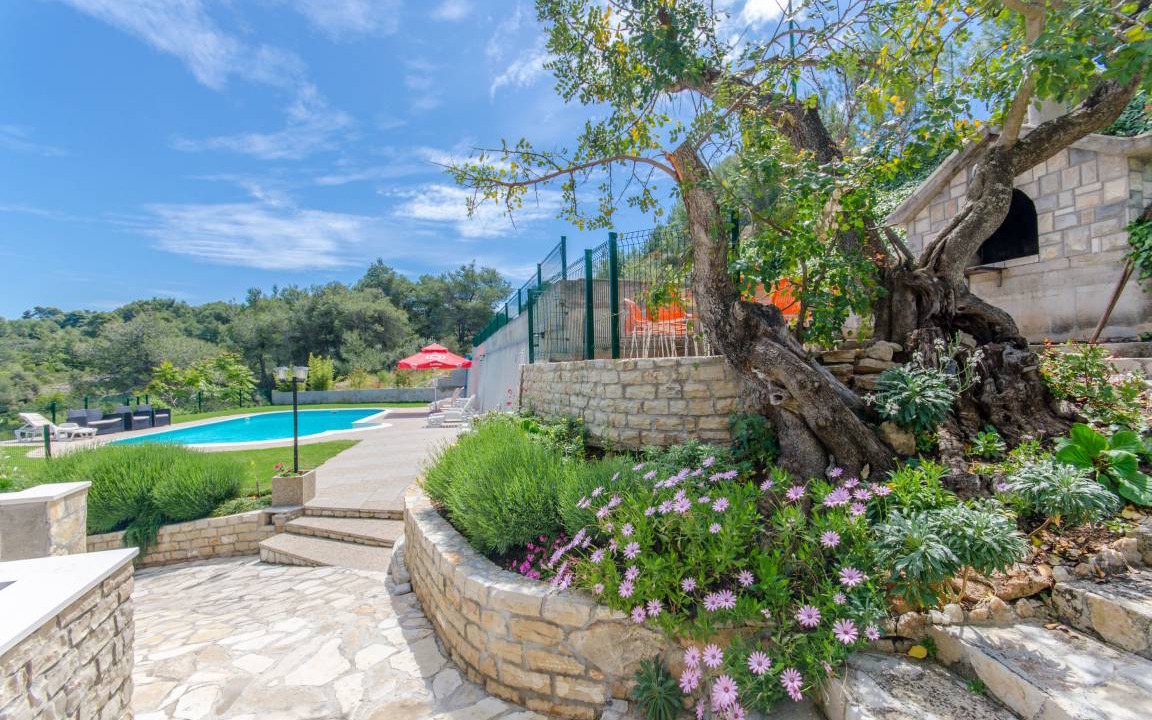 Photo of Others in Stomorska