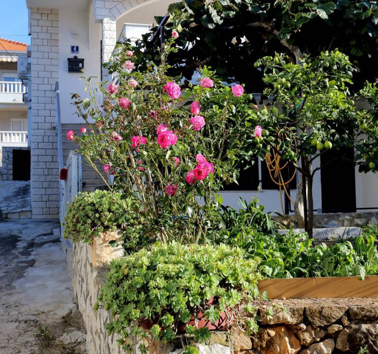Photo of Others in Trogir