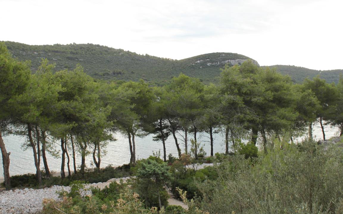 Photo of Others in Municipality of Kali