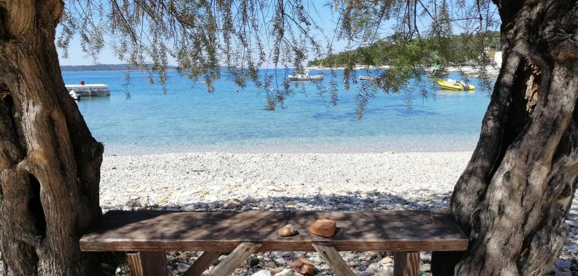 Photo of Others in Hvar
