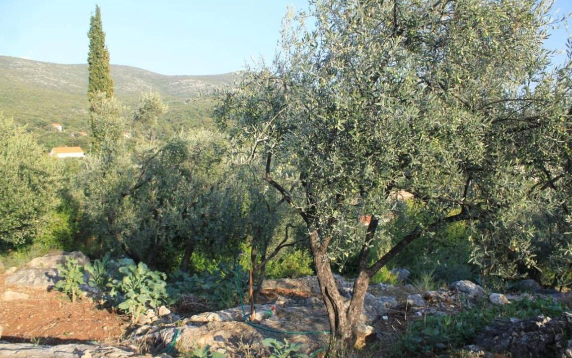Photo of Others in Molunat