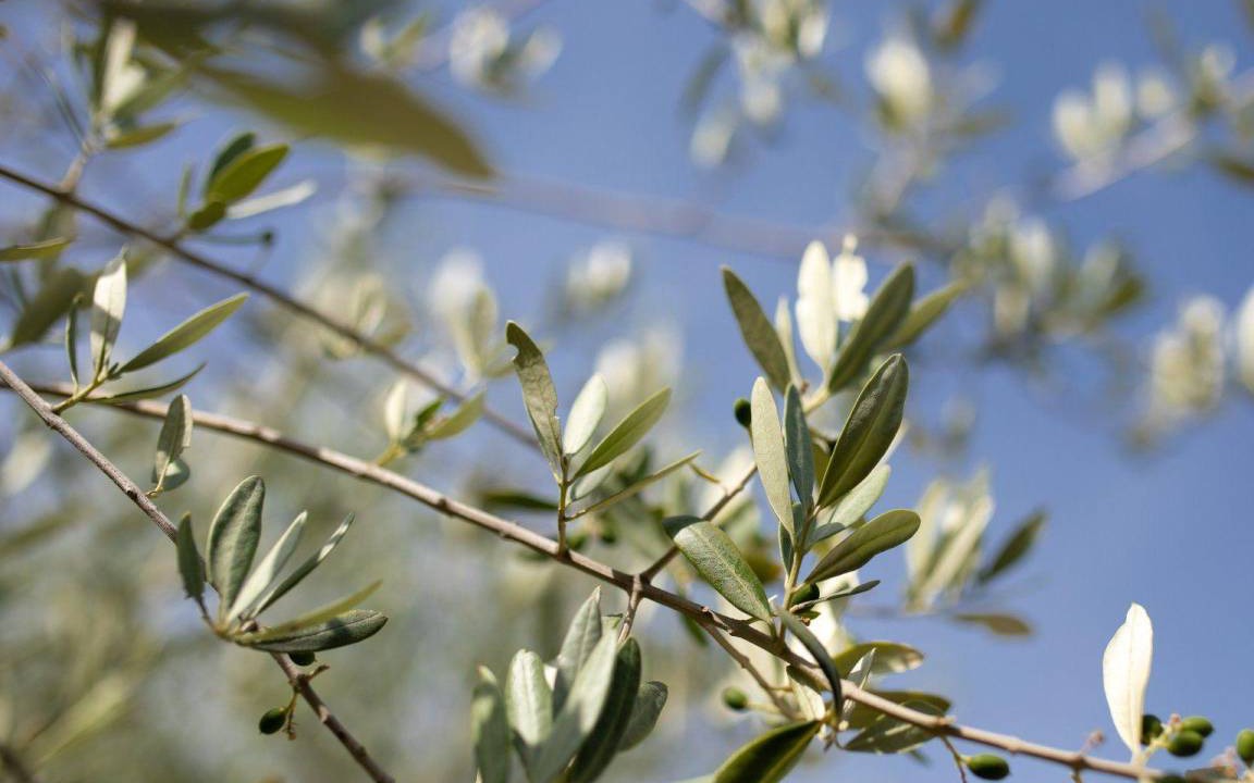 Photo of Outdoor in Zbandaj