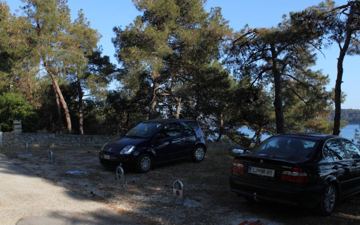 Photo of Others in Cove Murtar