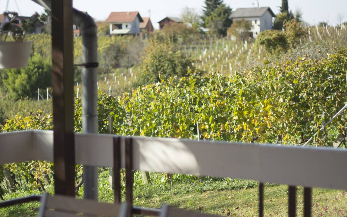 Photo of Others in Zagreb County