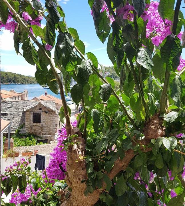 Photo of Others in Vrboska
