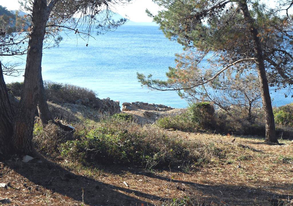 Photo of Others in Cove Murtar