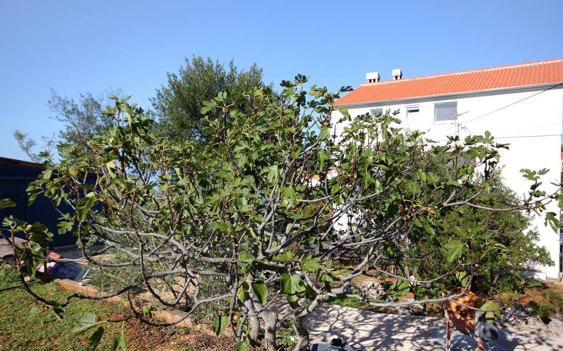 Photo of Outdoor in Lukoran