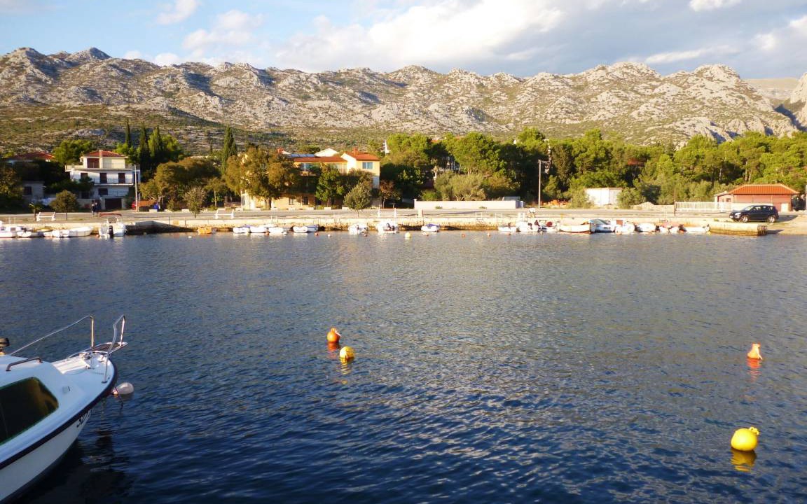 Photo of Others in Seline