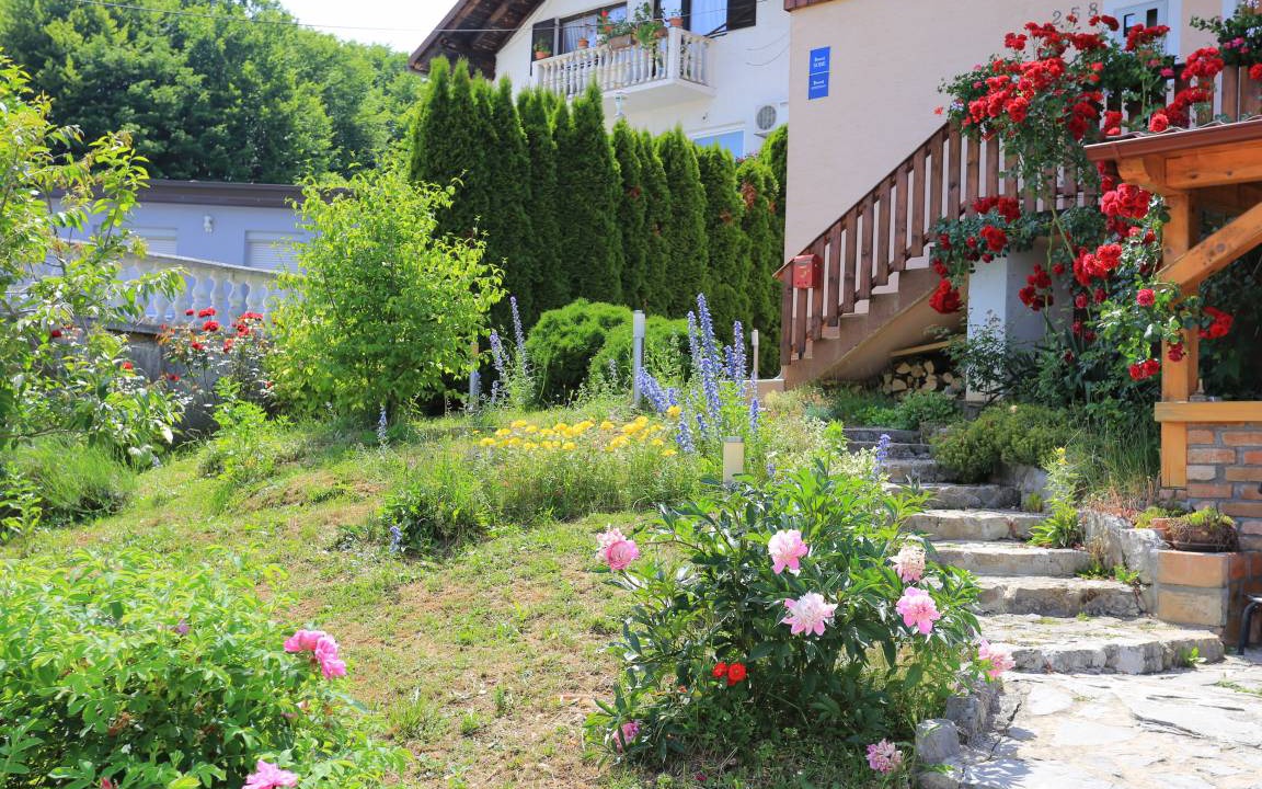 Photo of Others in Grabovac