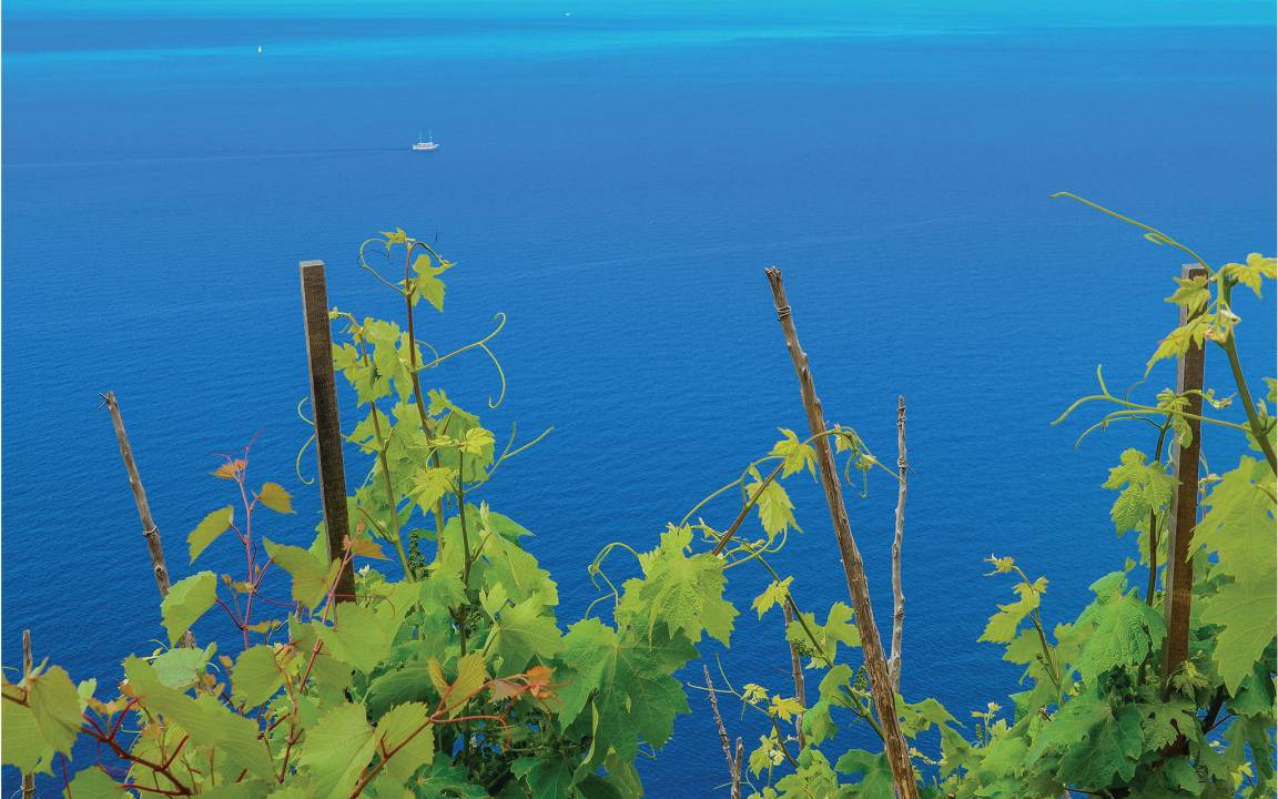 Photo of Others in Trstenik