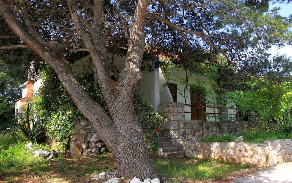 Photo of Others in Cove Basina (Jelsa)
