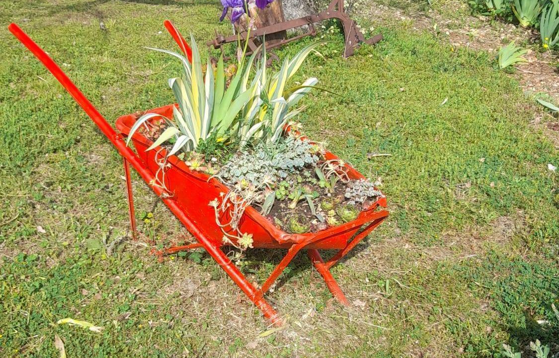 Photo of Others in Lecevica