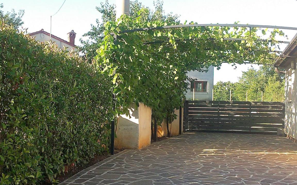 Photo of Others in Kosinozici