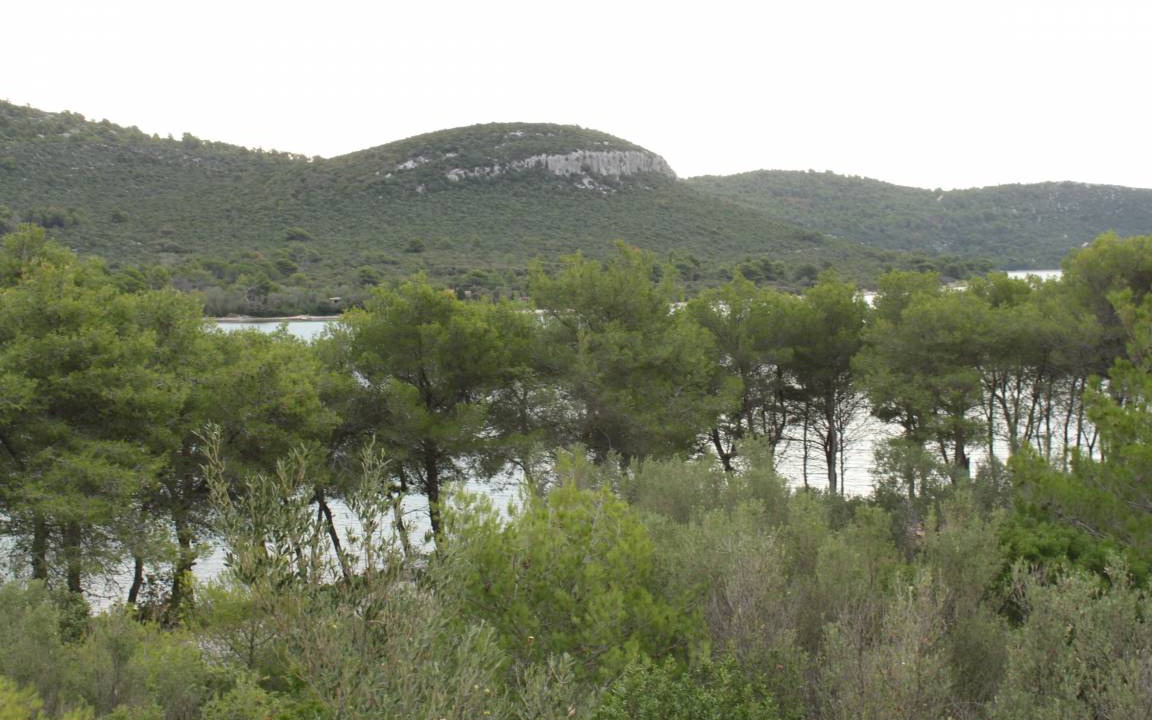 Photo of Others in Municipality of Kali